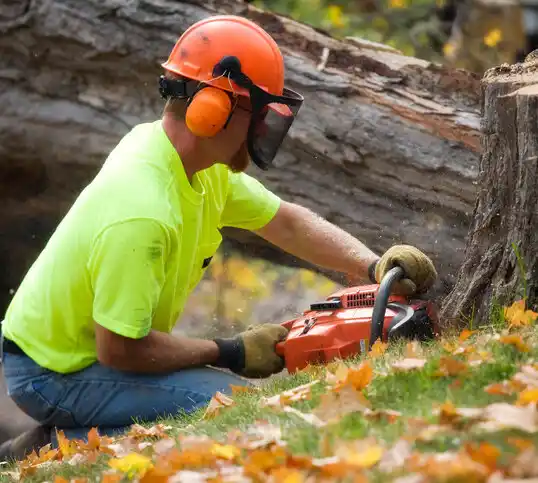 tree services Commercial Point